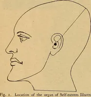 An illustration from How to read the human head and face (1903)