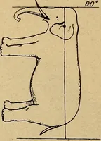 Picture 6 of 104 from How to read the human head and face (1903), leaf 15