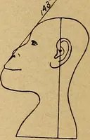 An illustration from How to read the human head and face (1903)