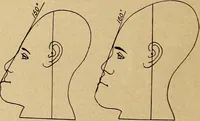 An illustration from How to read the human head and face (1903)