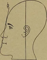 An illustration from How to read the human head and face (1903)