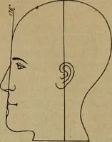 An illustration from How to read the human head and face (1903)