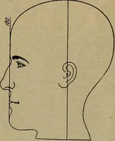An illustration from How to read the human head and face (1903)