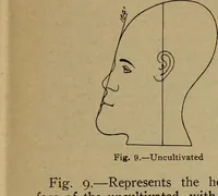 An illustration from How to read the human head and face (1903)