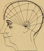 An illustration from How to read the human head and face (1903)