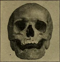 An illustration from How to read the human head and face (1903)