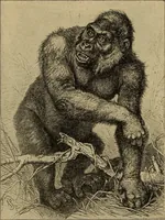 An illustration from How to read the human head and face (1903)