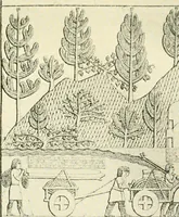 Picture 17 of 252 from How to study architecture; by Charles H. Caffin ... an attempt to trace the evolution of architecture as the product and expression of successive phases of civilisation (1917), leaf 93