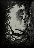 An illustration from How to study pictures by means of a series of comparisons of paintings and painters from Cimabue to Monet, with historical and biographical summaries and appreciations of the painters' motives and methods (1910)
