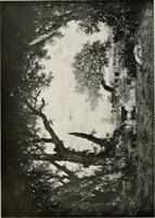 An illustration from How to study pictures by means of a series of comparisons of the painters' motives and methods .. (1906)