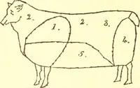 An illustration from How to teach kitchen garden; or, Object lessons in household work, including songs, plays, exercises, and games illustrating household occupations (1901)