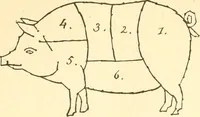 Picture 16 of 21 from How to teach kitchen garden; or, Object lessons in household work, including songs, plays, exercises, and games illustrating household occupations (1901), leaf 152