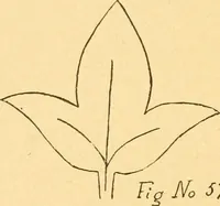 An illustration from How to teach paper-folding and cutting: a practical manual-training aid (1892)
