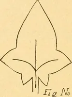 An illustration from How to teach paper-folding and cutting: a practical manual-training aid (1892)