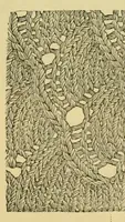 Picture 12 of 16 from How to use Florence knitting silk (1882), leaf 53