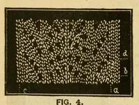 Picture 2 of 18 from How to use Florence knitting silk .. (1885), leaf 14