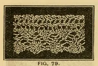 Picture 16 of 18 from How to use Florence knitting silk .. (1885), leaf 62