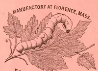 Picture 1 of 12 from How to use Florence knitting silk (1880), leaf 4