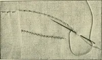 An illustration from How to work embroidery stitches; a practical method with 69 illustrations (1909)