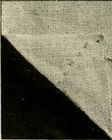 An illustration from How to work embroidery stitches; a practical method with 69 illustrations (1909)
