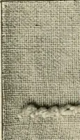 An illustration from How to work embroidery stitches; a practical method with 69 illustrations (1909)