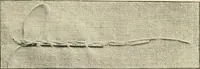 An illustration from How to work embroidery stitches; a practical method with 69 illustrations (1909)