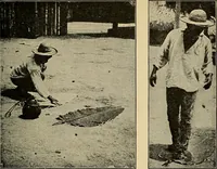 An illustration from How we are clothed ; a geographical reader (1904)