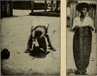 An illustration from How we are clothed ; a geographical reader (1904)