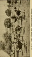 An illustration from How we are clothed ; a geographical reader (1904)