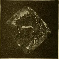 An illustration from How we are clothed ; a geographical reader (1904)