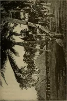 An illustration from How we are clothed ; a geographical reader (1904)