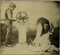 An illustration from How we are clothed ; a geographical reader (1904)