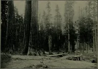 An illustration from How we are sheltered; a geographical reader (1906)