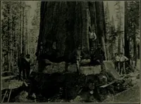 An illustration from How we are sheltered; a geographical reader (1906)