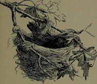 An illustration from How we are sheltered; a geographical reader (1906)