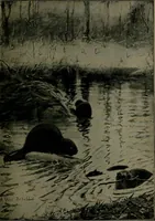An illustration from How we are sheltered; a geographical reader (1906)