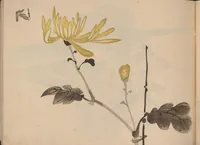 An illustration from Hōgajō (1900)