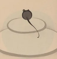 An illustration from Hōgajō (1901)
