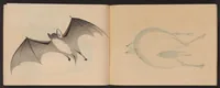 An illustration from Hōgajō (1901)
