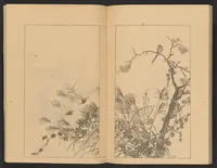 An illustration from Hōitsu Shōnin shinseki kagami (1868)