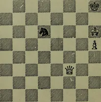 An illustration from Hoyle's games : containing all the modern methods of playing the latest and most fashionable games (1875)