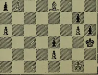 An illustration from Hoyle's games : containing all the modern methods of playing the latest and most fashionable games (1875)