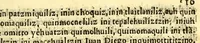 An illustration from Huei tlamahuiçoltica omonexiti in ilhuicac tlatóca Çihuapilli Santa Maria Totlaçònantzin Guadalupe in nican huei altepenahuac Mexico itocayocan tepeyacac (1649)