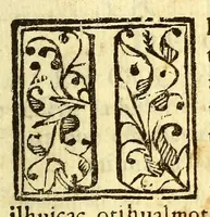 An illustration from Huei tlamahuiçoltica omonexiti in ilhuicac tlatóca Çihuapilli Santa Maria Totlaçònantzin Guadalupe in nican huei altepenahuac Mexico itocayocan tepeyacac (1649)