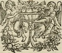 Picture 39 of 111 from Hugo de Groots Nederlandtsche jaerboeken en historien : sedert het jaer MDLV tot het jaer MDCIX : met De belegering der stadt Grol en den aenkleven des jaers MDCXXVII, als ook Het tractaet van de Batavische nu Hollandtsche Republyk, en De vrye zeevaert : met aenteeckeningen, voorts met het leven des schrijvers, twee volkomen registers, en veele koopere platen verciert (1681), leaf 203
