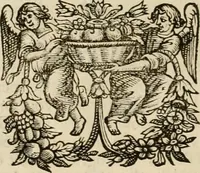 Picture 58 of 111 from Hugo de Groots Nederlandtsche jaerboeken en historien : sedert het jaer MDLV tot het jaer MDCIX : met De belegering der stadt Grol en den aenkleven des jaers MDCXXVII, als ook Het tractaet van de Batavische nu Hollandtsche Republyk, en De vrye zeevaert : met aenteeckeningen, voorts met het leven des schrijvers, twee volkomen registers, en veele koopere platen verciert (1681), leaf 393
