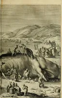 Picture 69 of 111 from Hugo de Groots Nederlandtsche jaerboeken en historien : sedert het jaer MDLV tot het jaer MDCIX : met De belegering der stadt Grol en den aenkleven des jaers MDCXXVII, als ook Het tractaet van de Batavische nu Hollandtsche Republyk, en De vrye zeevaert : met aenteeckeningen, voorts met het leven des schrijvers, twee volkomen registers, en veele koopere platen verciert (1681), leaf 476