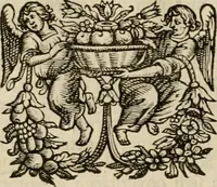 An illustration from Hugo de Groots Nederlandtsche jaerboeken en historien : sedert het jaer MDLV tot het jaer MDCIX : met De belegering der stadt Grol en den aenkleven des jaers MDCXXVII, als ook Het tractaet van de Batavische nu Hollandtsche Republyk, en De vrye zeevaert : met aenteeckeningen, voorts met het leven des schrijvers, twee volkomen registers, en veele koopere platen verciert (1681)