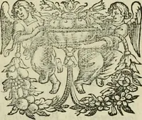Picture 110 of 111 from Hugo de Groots Nederlandtsche jaerboeken en historien : sedert het jaer MDLV tot het jaer MDCIX : met De belegering der stadt Grol en den aenkleven des jaers MDCXXVII, als ook Het tractaet van de Batavische nu Hollandtsche Republyk, en De vrye zeevaert : met aenteeckeningen, voorts met het leven des schrijvers, twee volkomen registers, en veele koopere platen verciert (1681), leaf 932