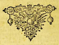 An illustration from Hugonis Grotii Annales et historiae de rebus Belgicis (1658)
